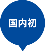 国内初